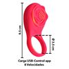 Imagen de Anillo vibrador  estimulador para pene  con  Control remoto  app