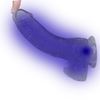 Imagen de Dildo consolador transparente con testículos, ventosa y  luces led cambian de color